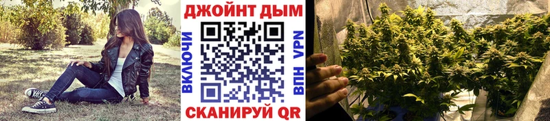 Шишки марихуана сатива Эртиль